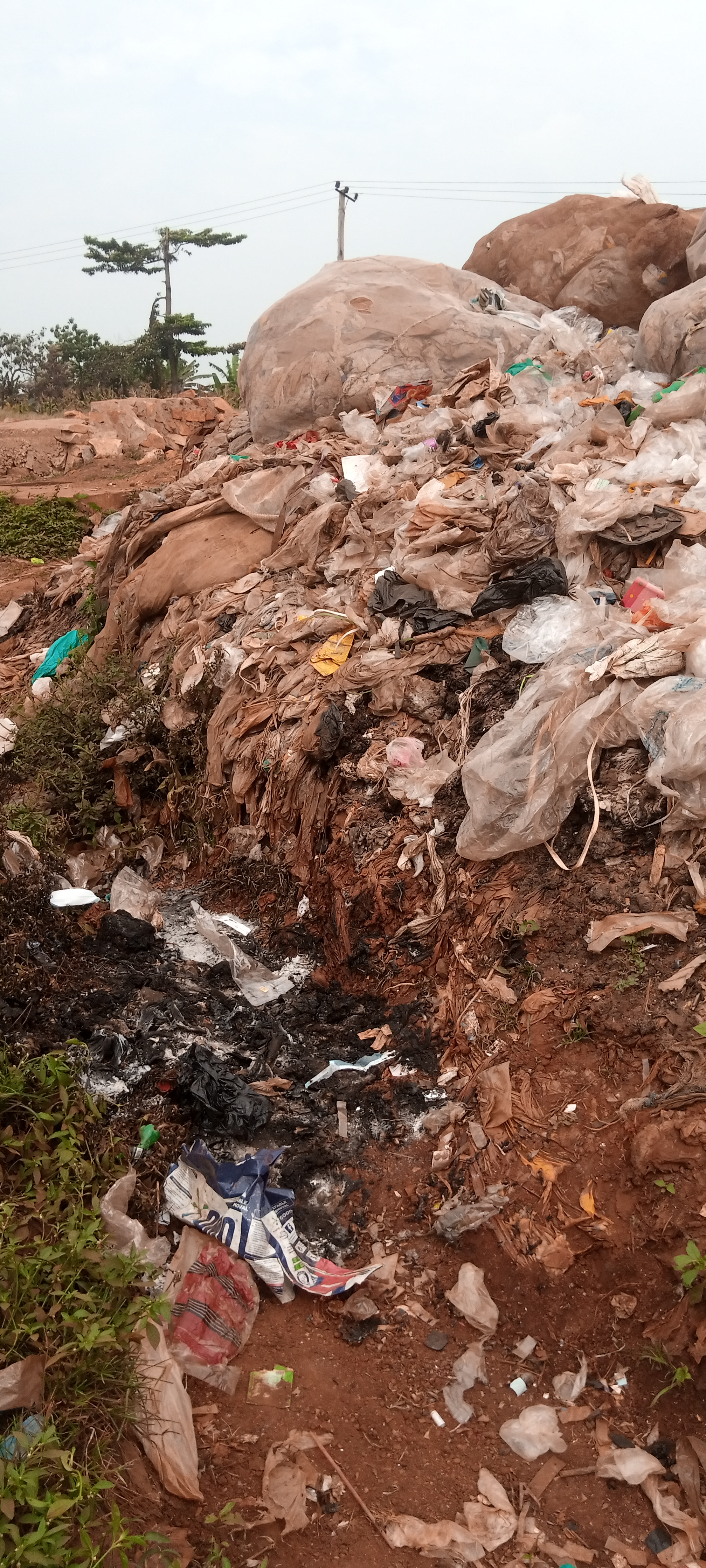 When mother Earth is suffocating, expect tears among crea... · @Climate Warrior on CashChat