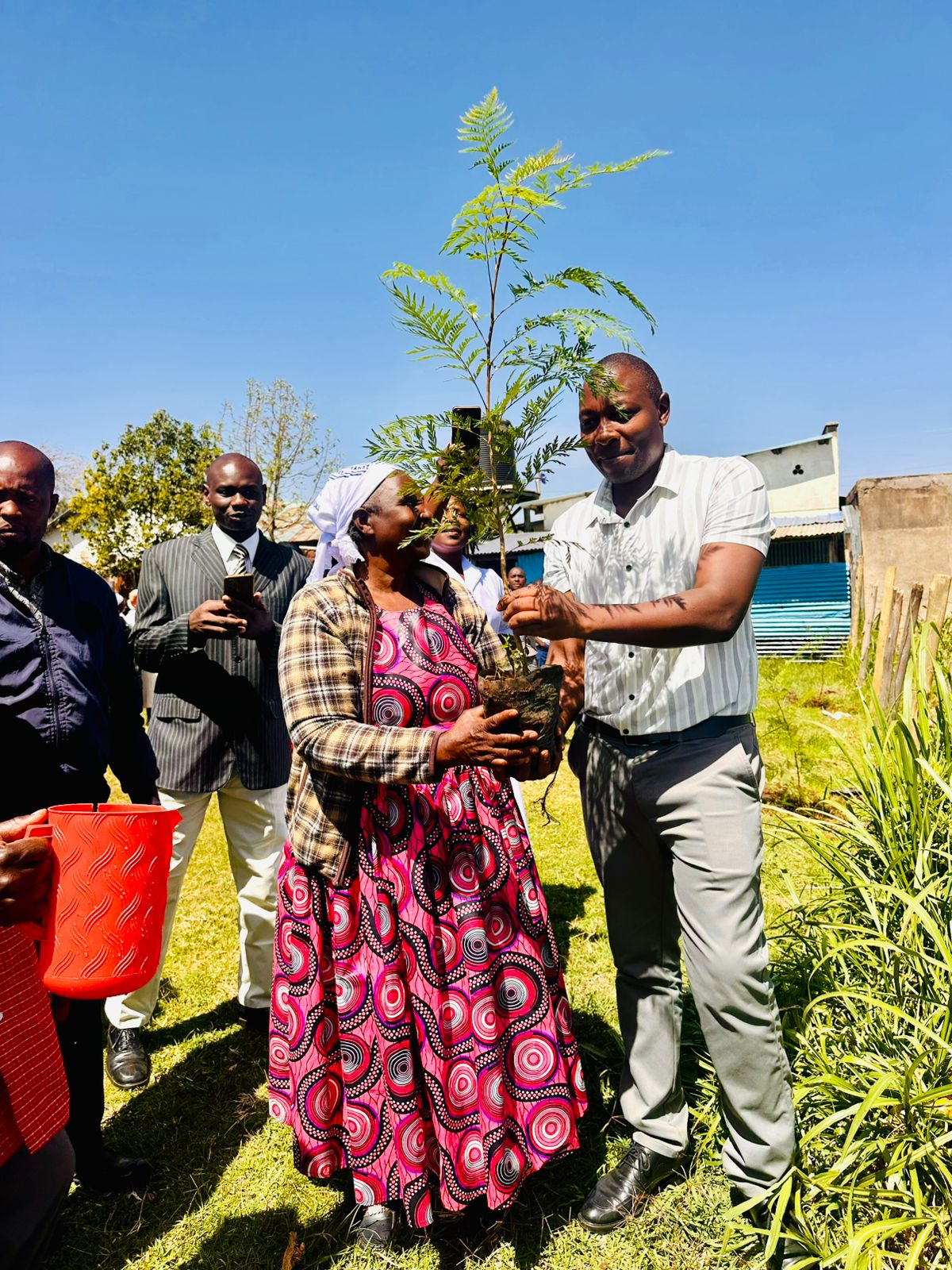 Tree planting · @Ruth on CashChat
